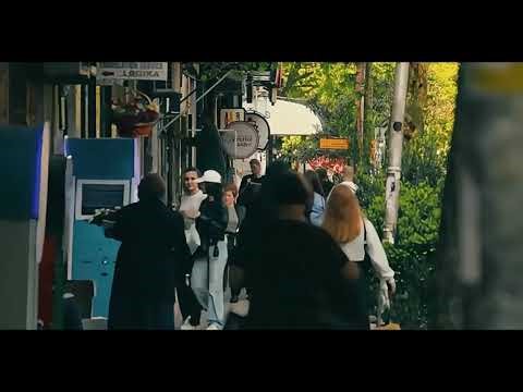 Unusual Winter Dive: A Pigeon's Love Story Unveiled