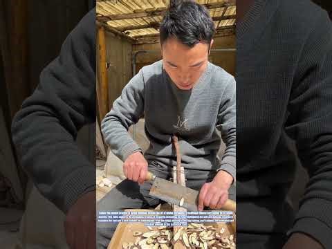 Craftsmanship in Herbal Medicine: Slicing Astragalus by Hand