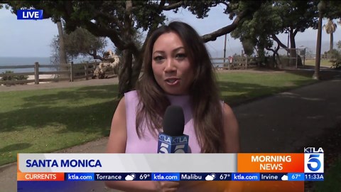 Exploding squirrel population drives Southern California beach community nuts