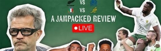 Springboks Beat France with 14 Men!