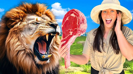 A day as a zookeeper in a real-life zoo