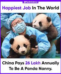 31 of the Happiest Jobs (With Duties and Salary) 2025