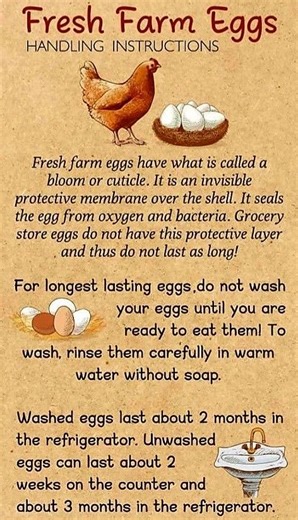 9.2K views · 124 reactions | Fresh farm egg handling instructions | Farming Tech& Business | Facebook