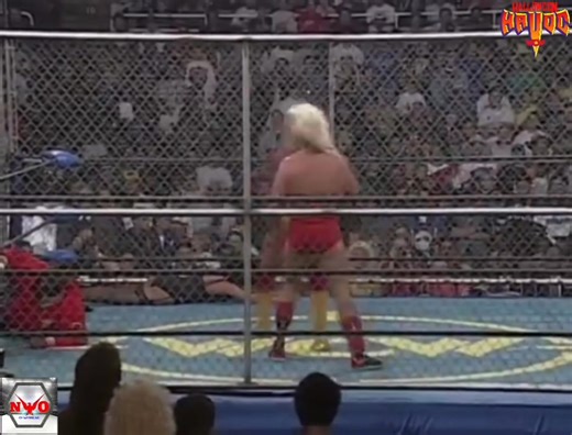 Hulk Hogan vs Ric Flair: WCW championship steel cage match. | New World Organization of Wrestling