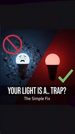Why Do Bugs Fly Into Light? 🪰💡(Solution and explanation)