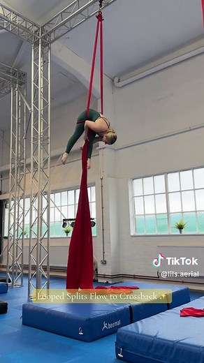 Aerial Silks Performance Highlights by Scarlett