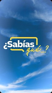 ✈️🔍 ¿Sabías qué es un agente AVSEC? ¡Es la persona que asegura tu vuelo! 👮‍♂️🔒 Ellos velan por la seguridad de la aviación civil para que tu viaje sea seguro desde el despegue hasta tu llegada. ¡Gracias por su increíble trabajo! 🙌 | DGAC Guatemala