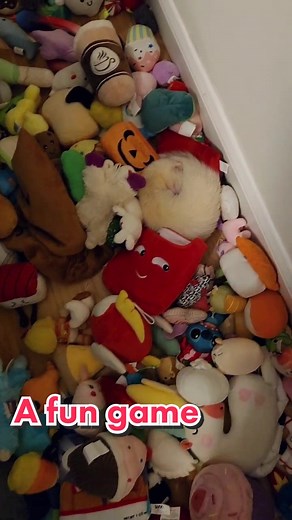 Spot the Hidden Nugget with These Fuffy Ferrets