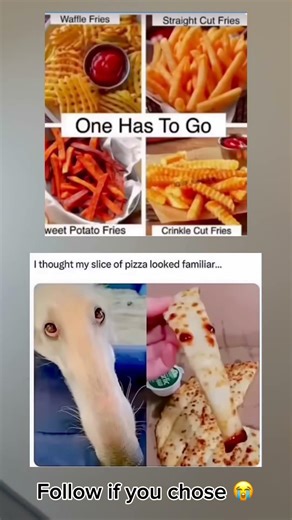 What did you choose?🤔#memes #funny #choices