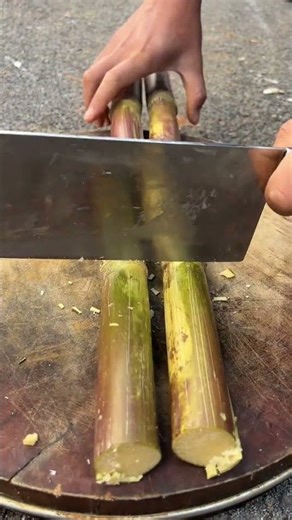 Temporal Transition & Collective Aspiration Synchronization Audit 🌑🎆🗓️