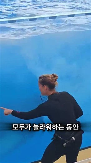지금까지 본 가장 아름다운 길들여진 범고래 ❤️
