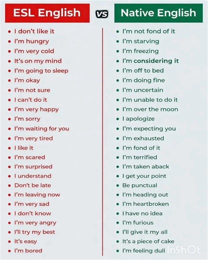 ESL English Vs Native English sentences......