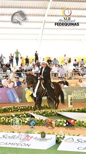 EXPOSICIÓN NACIONAL EQUINA BUCARAMANGA 2026 - Yeguas de Paso Fino de 60 a 78 meses ‎ 1. AITHANA DE LA ILUSIÓN (Ponderosa Espectáculo de Chapala X Amanecer de la Península) Propietario: Criadero Cayala Montador: Jonatha Rodríguez 2. PIMIENTA DE 3C (Ponderosa Espectáculo de Chapala X Ponderosa Bella Dama de 3C) Propietario: Criadero Cayala Montador: Anthony Rodríguez 3. GALILEA DEL ENCANTO (Consentido de Hacienda Royal X Dulce Despertar del Encanto) Propietario: Efraín Rodríguez Montador: Víctor R