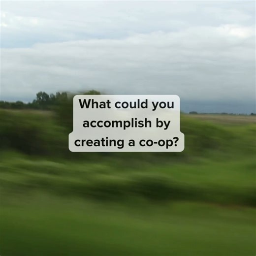 What could you do with a co-op? So many things! By starting a co-operative, you and a group of like-minded people could create childcare spaces and affordable housing, sell your products, source supplies, start a local fitness centre, share business expenses...and much, much more. Follow Co-operatives First to learn more about how the power of co-ops 💪 | Co-operatives First
