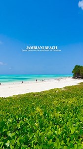 JAMBIANI BEACH 🤩 | 🎥 @zanzistarlodgezanzibar This is a great beach in the southeast of Zanzibar island. It is quite a typical beach for the island - with strong tides, seaweed plantations, fishing boats and endless hotel’s fences. By the way, low tide is not such a bad time. Yes, it’s impossible to swim. But on the other hand, you can walk right to the house reef with outstanding snorkeling. In public beach areas, there are a lot of vendors with their “great deals”, but there’s nothing you can