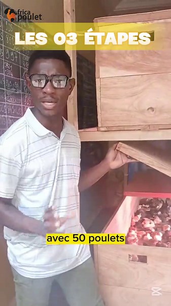 Réussir le Poulet Local en Afrique : 3 Étapes Clés