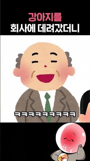 회사에 강아지를 데려가면 생기는 일 ㅋㅋㅋ