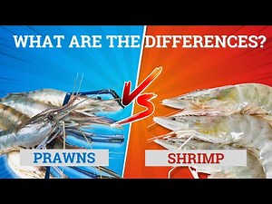 Prawns vs. Shrimp: What’s the Difference? 🍤🦐