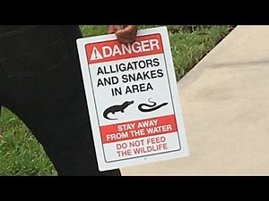 Disney puts up alligator warning signs