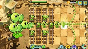 植物大战僵尸2国际版 狂野西部4天，巧用铁轨豌豆小队挑战牛仔僵尸