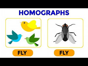 HOMOGRAPHS | Basic English Grammar | Homographs for Kids | Grammar for class 5,6 & 7 #homographs