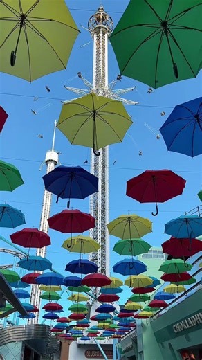 Beautiful Scandinavia 😎🥰