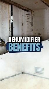 1.9K views | A dehumidifier in your basement is key to a healthier,...