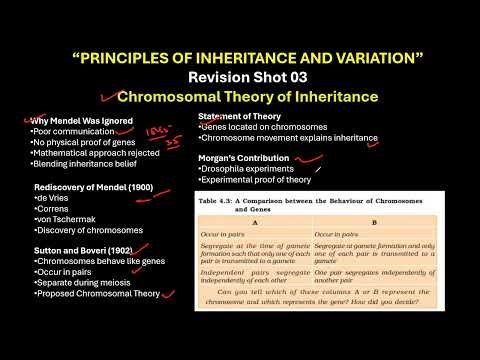 CBSE GRADE 12 Chromosomal Theory of Inheritance Principles of Inheritance and Variation 5