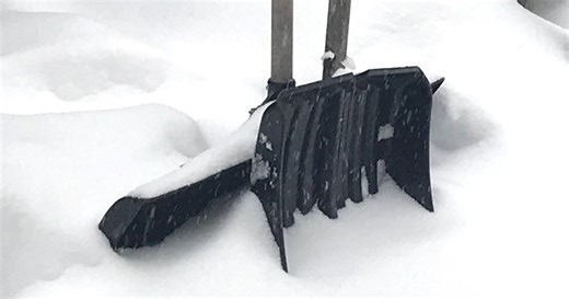 ‘Conned out of their money’: Ajax senior raises alarm on snow shovelling scam