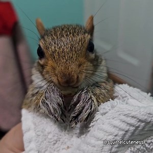3.8K views · 256 reactions | Robert Redfoot had a soak to relieve his...