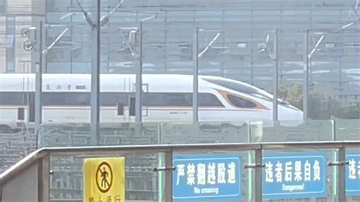 2026年3月22日，G796（上海虹桥-北京南）南京南站进站。本务京局北京段CR400BF-G-3110 3113。