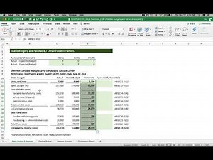 Professor Paul Ahn_Managerial Accounting_Variance Analysis_Static Budget and Variances