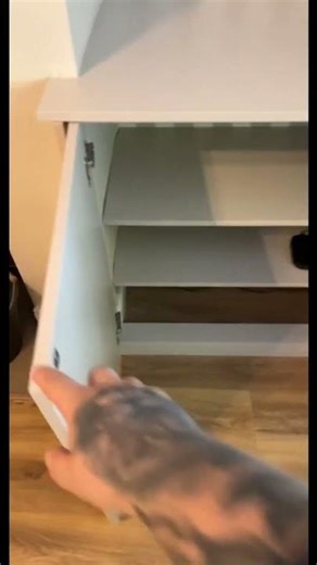 ソフトクローズ式キャビネットヒンジとプッシュオープン式ドアキャッチを使用したDIYキャビネット製作 #vadania #diy #木工事#ヒンジ