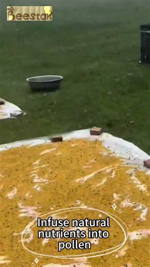 Watch: Multi-Flower Raw Bee Pollen Granules 25kg Carton Food Supplement Showcase