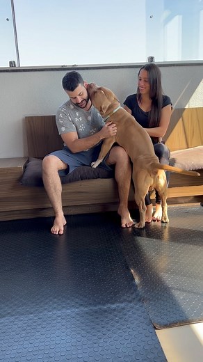 É incondicional, só quem tem entende esse amor ❤️ | Monkey D. Luffy