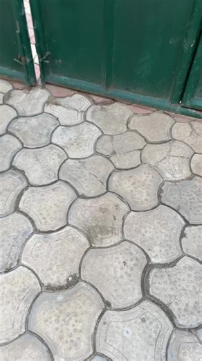 Man of the House: Must Obey Sister