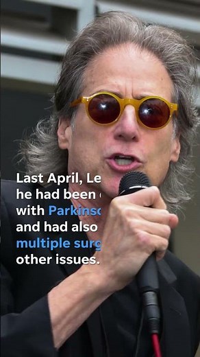 Richard Lewis from 'Curb Your Enthusiasm' dies at 76 #Shorts