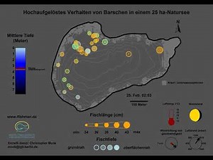 Wie verhalten sich Barsche in einem natürlichen Gewässer? Hier der Februar