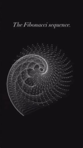 “Mathematics is a Language — Understand It.”