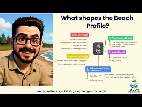 Beach Profile: Understanding the Shape of Our Coast