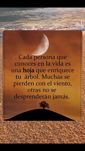 motivacion_personal_MX on TikTok