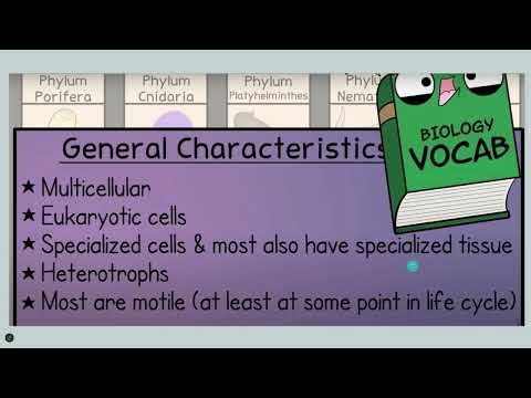 aNIMAL CHARACYERISTICS