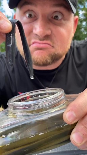 FISHERMANS TASTE TEST: GULP EDITION #fishing #bassfishing #gulp #fishermanstastetest