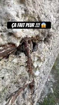 Ce bâtiment n’a aucun sens 😱 Beaucoup de ferrailles mal mises … #renovation #travaux #construction