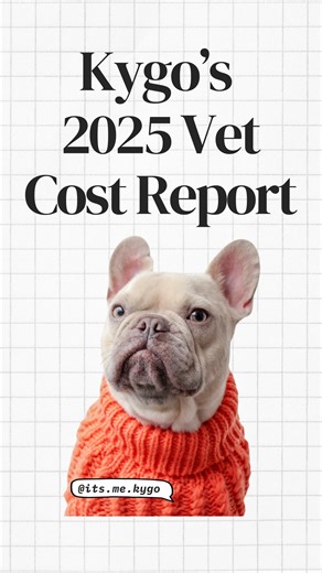Kygo the French Bulldog on Instagram: "Let this be your sign to get pet insurance for your pet, because 2025 was definitely an expensive year of unexpected medical expenses for us! BMO Insurance, in partnership with Trupanion, now offers pet insurance and offers direct billing from vets so that you are never out-of-pocket (beyond your deductible) in a time of crisis. #BMOInsurance #ad"