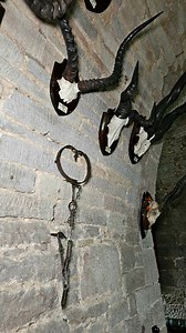 Did you know? One of the most brutal examples of the scold's bridle was the "Forfar Bridle," an iron mask with spikes on both the top and bottom of the bit, designed to pierce the tongue and palate. #glamiscastle #scottishcastles #scottishhistory #scoldsbridle #visitscotland | Glamis Castle