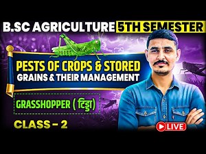 bsc agriculture 5th semester pests of crops and stored grains and their management #entomology