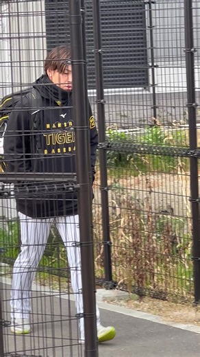 #日鉄鋼板sglスタジアム尼崎 #梅野隆太郎 #阪神タイガース #サイン