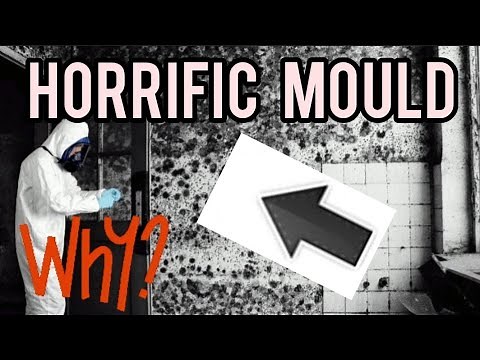 What causes black mould on walls and ceilings?