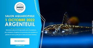 Bourse Aquariophile, le 12 Avril 2026 à Argenteuil (95).